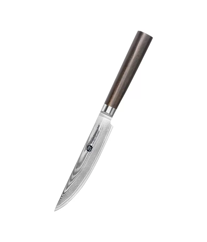 J2 Series Steak Knife