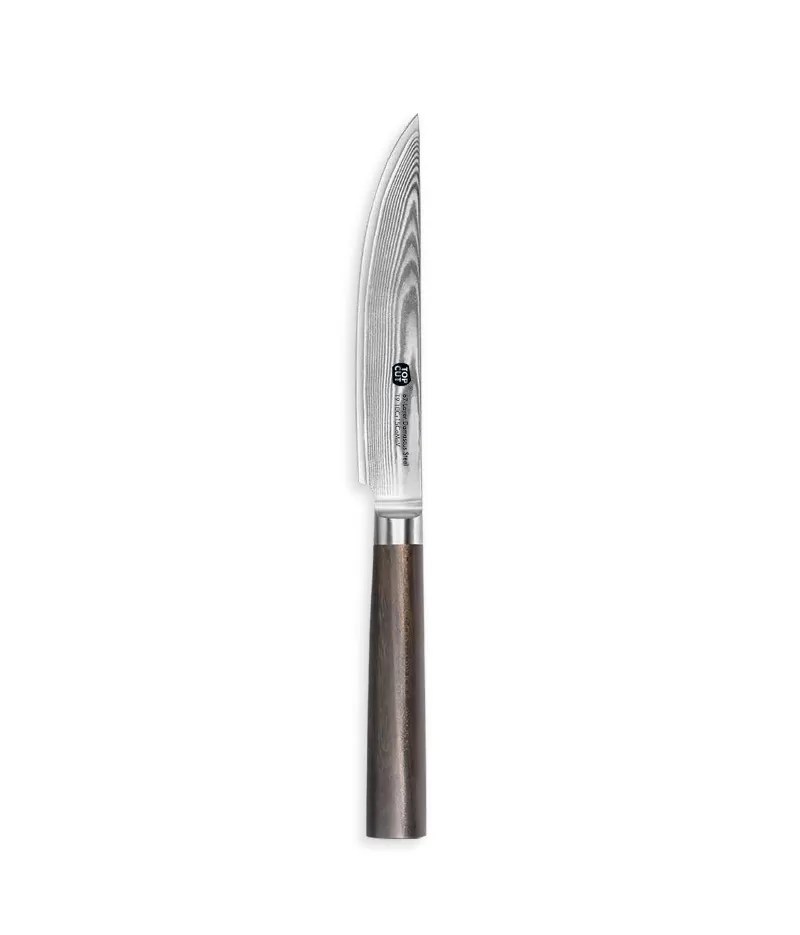 J2 Series Steak Knife