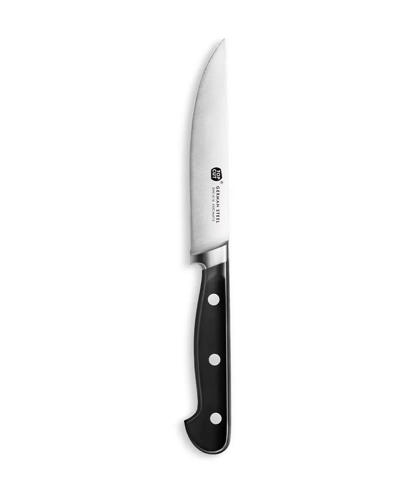 V2 Series Steak Knife